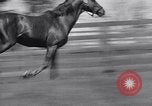 Standbild Man O War Lexington Kentucky USA, 1938, aus Sekunde 13 historischem Filmmaterial Videoclip 65675033970