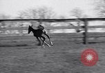 Standbild Man O War Lexington Kentucky USA, 1938, aus Sekunde 29 historischem Filmmaterial Videoclip 65675033970