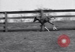 Standbild Man O War Lexington Kentucky USA, 1938, aus Sekunde 31 historischem Filmmaterial Videoclip 65675033970