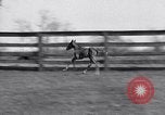 Standbild Man O War Lexington Kentucky USA, 1938, aus Sekunde 35 historischem Filmmaterial Videoclip 65675033970