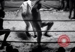 Immagine di Wrestling heavyweight bout Lake Worth Florida USA, 1938, secondo 27 filmato di repertorio 65675033971