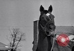 Standbild Man O' Krieg Lexington Kentucky USA, 1946, aus Sekunde 5 historischem Filmmaterial Videoclip 65675033974