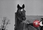 Standbild Man O' Krieg Lexington Kentucky USA, 1946, aus Sekunde 6 historischem Filmmaterial Videoclip 65675033974