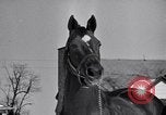 Standbild Man O' Krieg Lexington Kentucky USA, 1946, aus Sekunde 7 historischem Filmmaterial Videoclip 65675033974