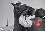 Standbild Man O' Krieg Lexington Kentucky USA, 1946, aus Sekunde 10 historischem Filmmaterial Videoclip 65675033974