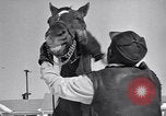 Standbild Man O' Krieg Lexington Kentucky USA, 1946, aus Sekunde 11 historischem Filmmaterial Videoclip 65675033974