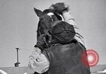 Standbild Man O' Krieg Lexington Kentucky USA, 1946, aus Sekunde 13 historischem Filmmaterial Videoclip 65675033974