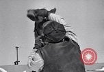 Standbild Man O' Krieg Lexington Kentucky USA, 1946, aus Sekunde 14 historischem Filmmaterial Videoclip 65675033974