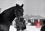 Standbild Man O' Krieg Lexington Kentucky USA, 1946, aus Sekunde 15 historischem Filmmaterial Videoclip 65675033974