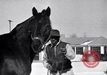 Standbild Man O' Krieg Lexington Kentucky USA, 1946, aus Sekunde 16 historischem Filmmaterial Videoclip 65675033974