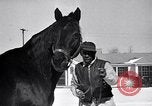 Standbild Man O' Krieg Lexington Kentucky USA, 1946, aus Sekunde 17 historischem Filmmaterial Videoclip 65675033974