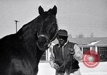 Standbild Man O' Krieg Lexington Kentucky USA, 1946, aus Sekunde 18 historischem Filmmaterial Videoclip 65675033974