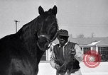 Standbild Man O' Krieg Lexington Kentucky USA, 1946, aus Sekunde 19 historischem Filmmaterial Videoclip 65675033974