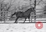 Standbild Man O' Krieg Lexington Kentucky USA, 1946, aus Sekunde 20 historischem Filmmaterial Videoclip 65675033974