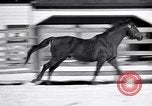 Standbild Man O' Krieg Lexington Kentucky USA, 1946, aus Sekunde 23 historischem Filmmaterial Videoclip 65675033974