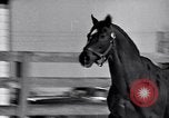 Standbild Man O' Krieg Lexington Kentucky USA, 1946, aus Sekunde 27 historischem Filmmaterial Videoclip 65675033974
