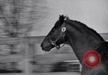 Standbild Man O' Krieg Lexington Kentucky USA, 1946, aus Sekunde 31 historischem Filmmaterial Videoclip 65675033974