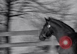 Standbild Man O' Krieg Lexington Kentucky USA, 1946, aus Sekunde 32 historischem Filmmaterial Videoclip 65675033974