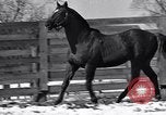 Standbild Man O' Krieg Lexington Kentucky USA, 1946, aus Sekunde 33 historischem Filmmaterial Videoclip 65675033974