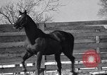 Standbild Man O' Krieg Lexington Kentucky USA, 1946, aus Sekunde 34 historischem Filmmaterial Videoclip 65675033974