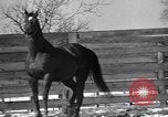 Standbild Man O' Krieg Lexington Kentucky USA, 1946, aus Sekunde 35 historischem Filmmaterial Videoclip 65675033974