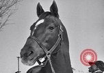 Standbild Man O' Krieg Lexington Kentucky USA, 1946, aus Sekunde 36 historischem Filmmaterial Videoclip 65675033974
