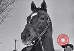 Standbild Man O' Krieg Lexington Kentucky USA, 1946, aus Sekunde 37 historischem Filmmaterial Videoclip 65675033974