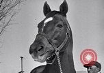 Standbild Man O' Krieg Lexington Kentucky USA, 1946, aus Sekunde 38 historischem Filmmaterial Videoclip 65675033974