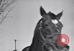 Standbild Man O' Krieg Lexington Kentucky USA, 1946, aus Sekunde 39 historischem Filmmaterial Videoclip 65675033974