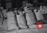 Image of Italian family Taranto Italy, 1937, second 26 stock footage video 65675033981
