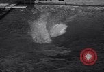 Image of Divers competing at the National Aquatic Meet Los Angeles California USA, 1937, second 45 stock footage video 65675033983