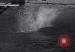 Image of Divers competing at the National Aquatic Meet Los Angeles California USA, 1937, second 46 stock footage video 65675033983