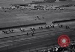 Image of War Admiral New York United States USA, 1937, second 18 stock footage video 65675033984