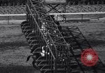 Image of War Admiral New York United States USA, 1937, second 22 stock footage video 65675033984