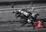 Image of War Admiral New York United States USA, 1937, second 24 stock footage video 65675033984