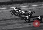Image of War Admiral New York United States USA, 1937, second 25 stock footage video 65675033984