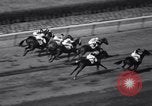 Image of War Admiral New York United States USA, 1937, second 26 stock footage video 65675033984