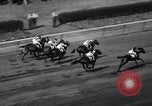 Image of War Admiral New York United States USA, 1937, second 27 stock footage video 65675033984