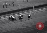 Image of War Admiral New York United States USA, 1937, second 30 stock footage video 65675033984