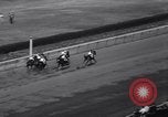 Image of War Admiral New York United States USA, 1937, second 31 stock footage video 65675033984