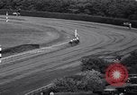 Image of War Admiral New York United States USA, 1937, second 41 stock footage video 65675033984