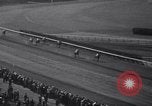 Image of War Admiral New York United States USA, 1937, second 59 stock footage video 65675033984
