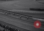 Image of War Admiral New York United States USA, 1937, second 60 stock footage video 65675033984