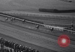 Image of War Admiral New York United States USA, 1937, second 61 stock footage video 65675033984