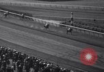 Image of War Admiral New York United States USA, 1937, second 62 stock footage video 65675033984