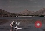 Image Jacqueline Kennedy en Asie du Sud, 1962, de la seconde 51 séquences d'archives historiques vidéo 65675033994