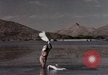 Image Jacqueline Kennedy en Asie du Sud, 1962, de la seconde 52 séquences d'archives historiques vidéo 65675033994
