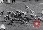 Immagine di Partita di calcio Pittsburgh Pennsylvania USA, 1961, secondo 24 filmato di repertorio 65675034000