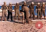 Image of NATO officials activities and discussions Paris France, 1961, second 35 stock footage video 65675034031