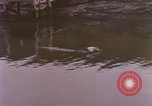 Image of President Kennedy and Indian PM Jawaharlal Nehru Newport Rhode Island USA, 1961, second 35 stock footage video 65675034034